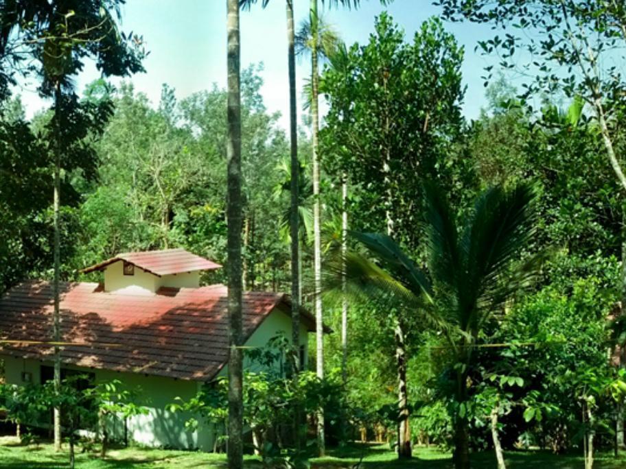 Willow Resorts Ambalavayal Extérieur photo
